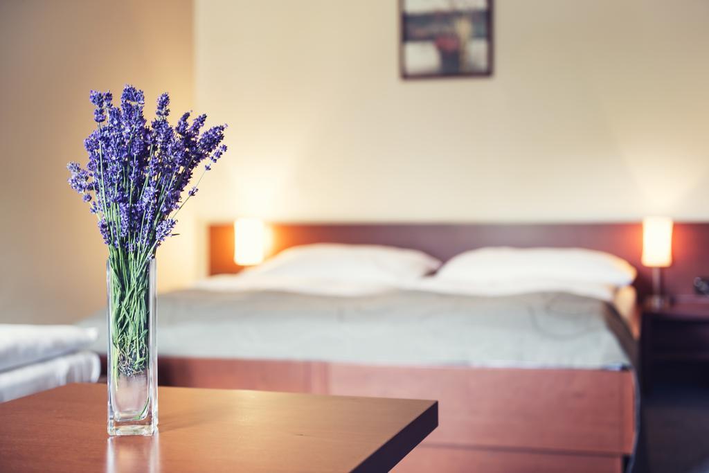 Hotel Skanzen Velehrad Δωμάτιο φωτογραφία